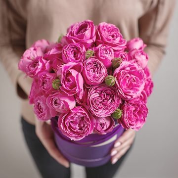 Poetry in Pink