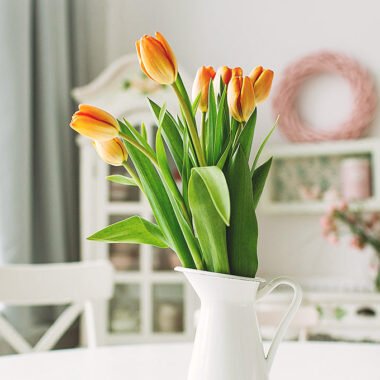 Precious Lavender Tulips